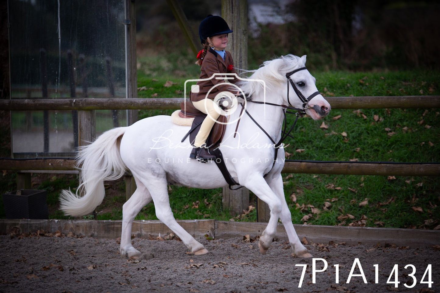 JHOYS 2025 - Showing - 27th September - Working Hunter