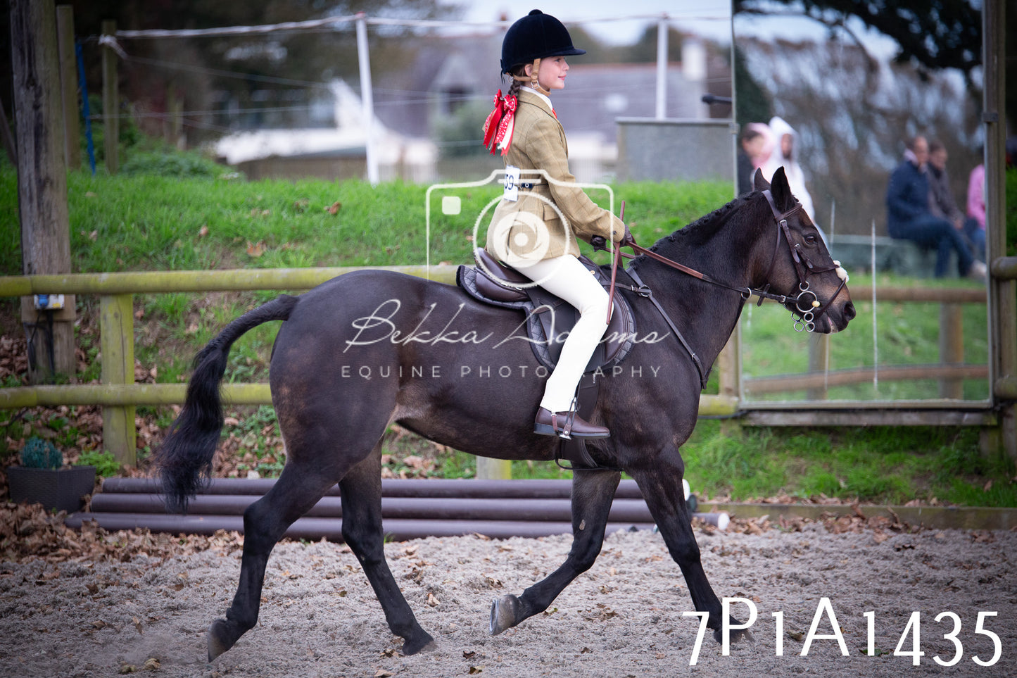 JHOYS 2025 - Showing - 27th September - Working Hunter