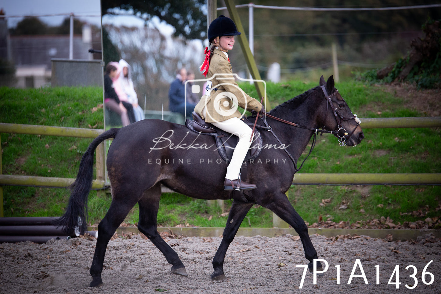 JHOYS 2025 - Showing - 27th September - Working Hunter