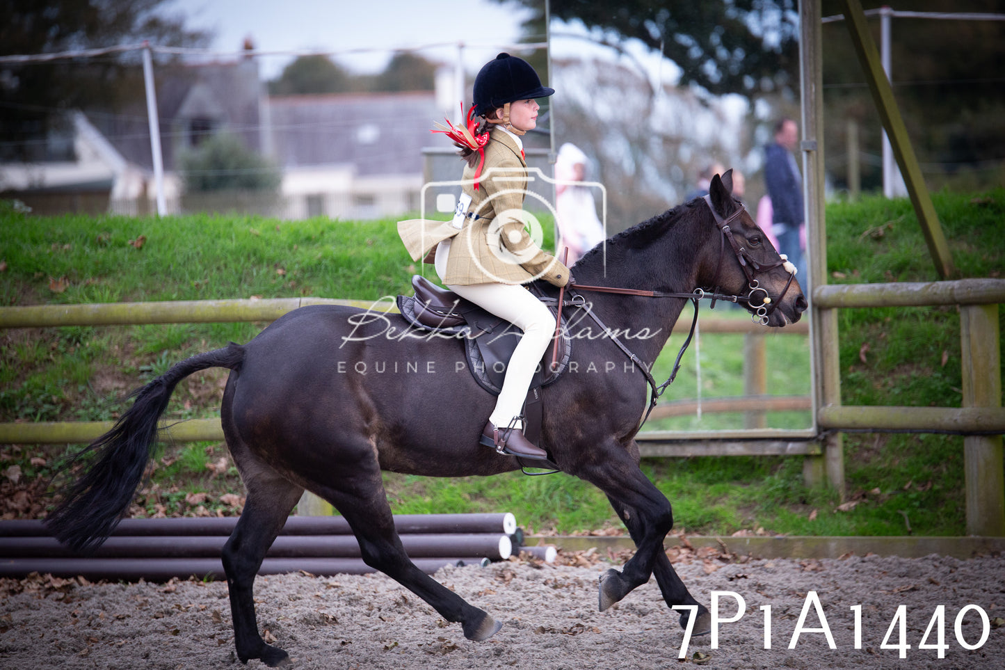 JHOYS 2025 - Showing - 27th September - Working Hunter