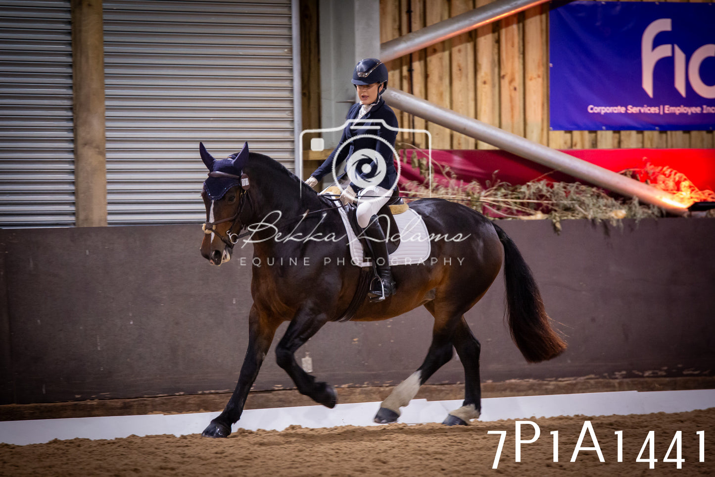 JHOYS 2025 - Dressage - 14th September pt2