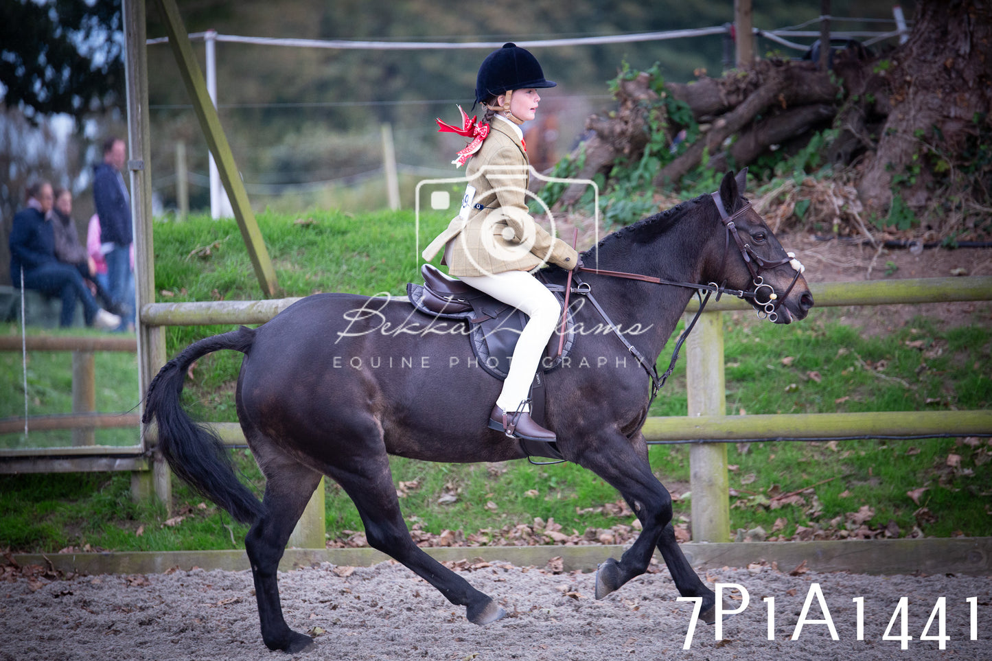 JHOYS 2025 - Showing - 27th September - Working Hunter