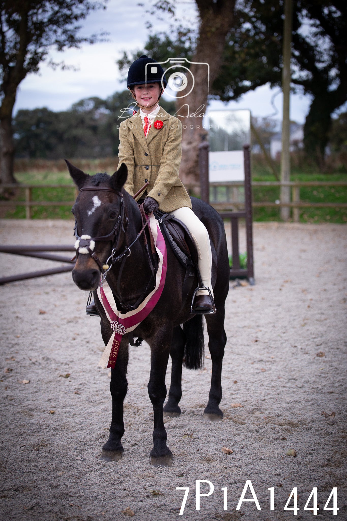 JHOYS 2025 - Showing - 27th September - Working Hunter