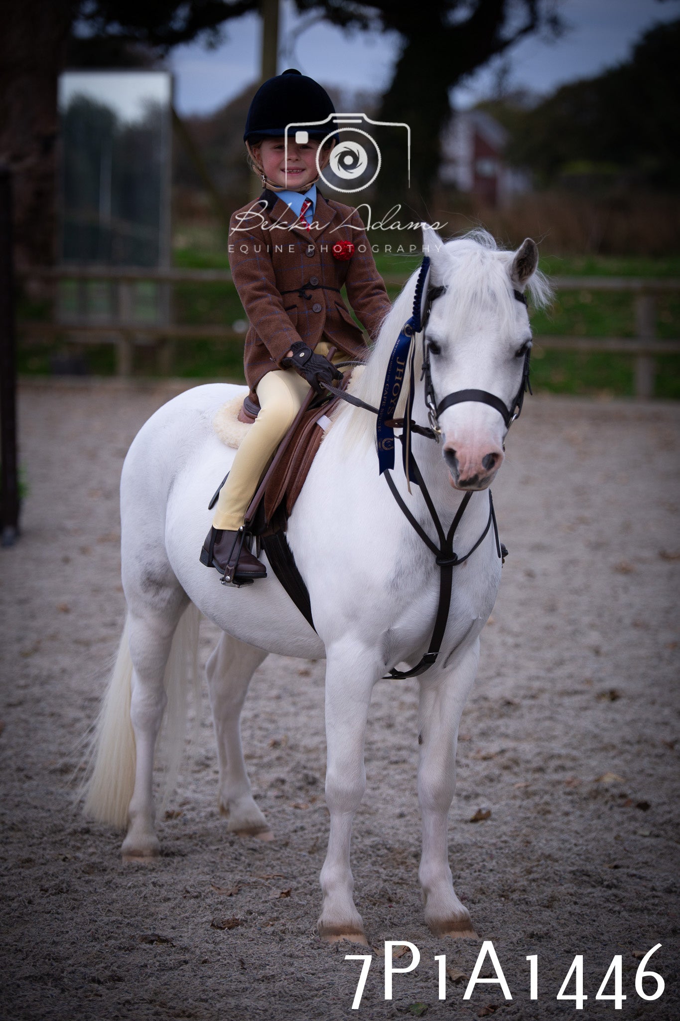 JHOYS 2025 - Showing - 27th September - Working Hunter