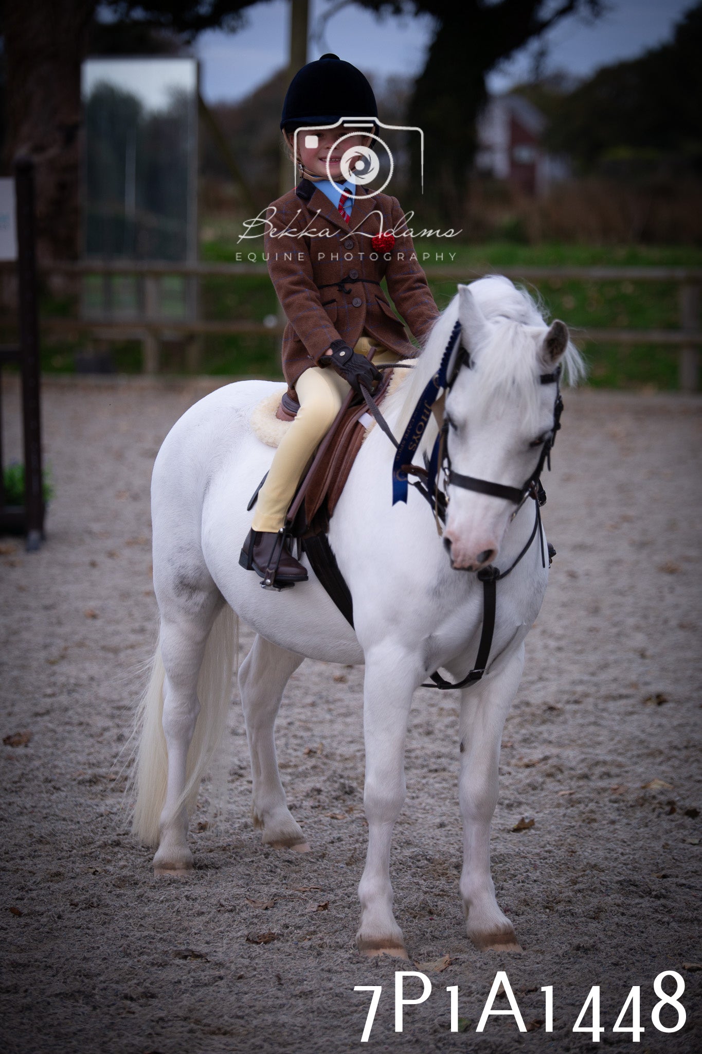 JHOYS 2025 - Showing - 27th September - Working Hunter