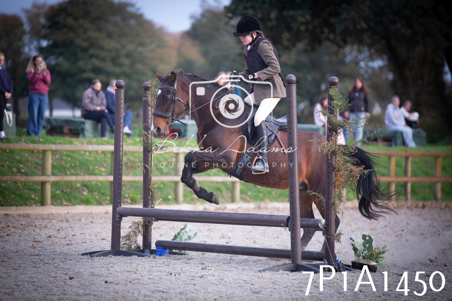 JHOYS 2025 - Showing - 27th September - Working Hunter