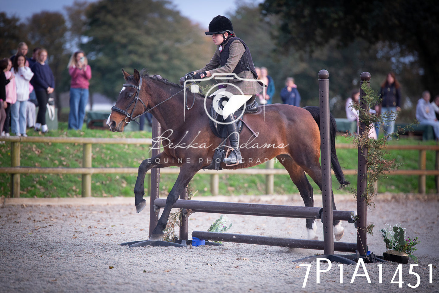 JHOYS 2025 - Showing - 27th September - Working Hunter