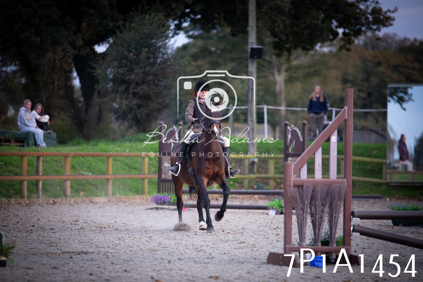 JHOYS 2025 - Showing - 27th September - Working Hunter