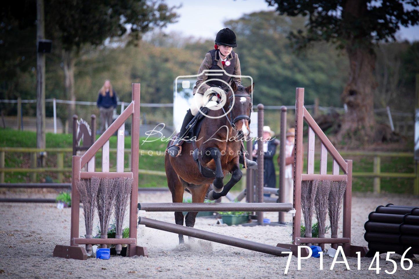 JHOYS 2025 - Showing - 27th September - Working Hunter