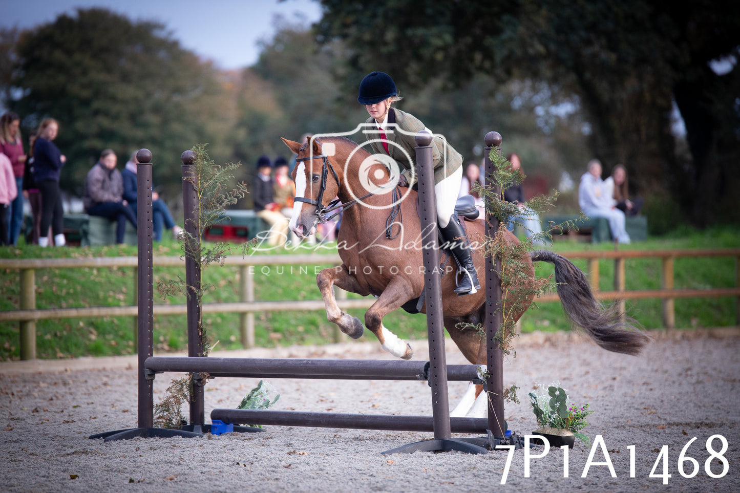 JHOYS 2025 - Showing - 27th September - Working Hunter