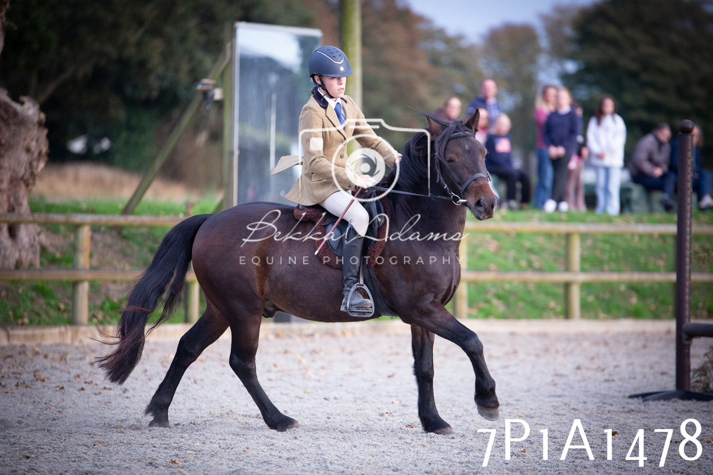 JHOYS 2025 - Showing - 27th September - Working Hunter