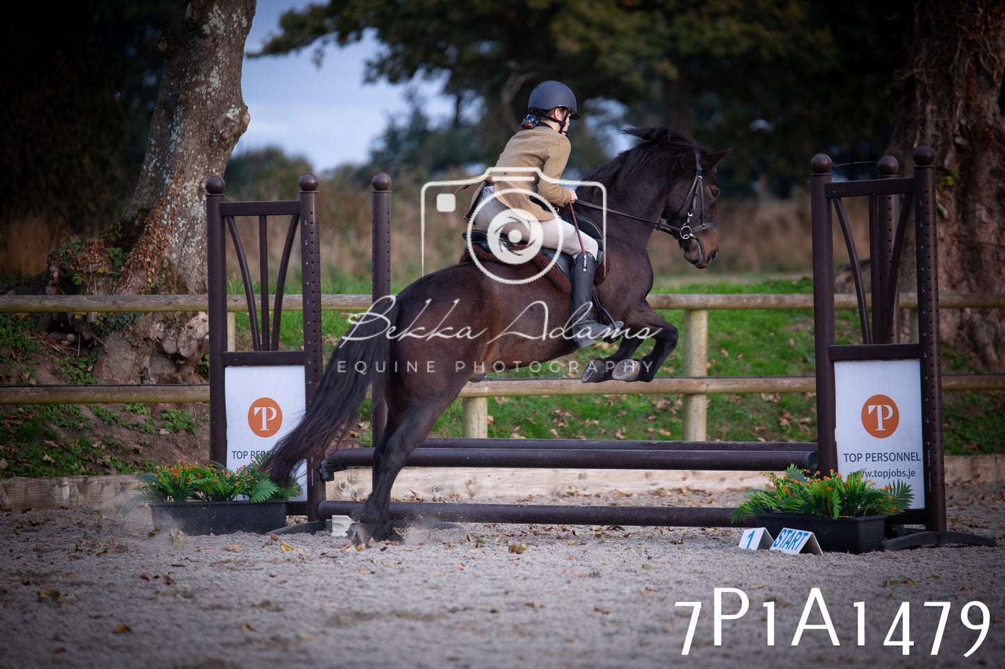 JHOYS 2025 - Showing - 27th September - Working Hunter