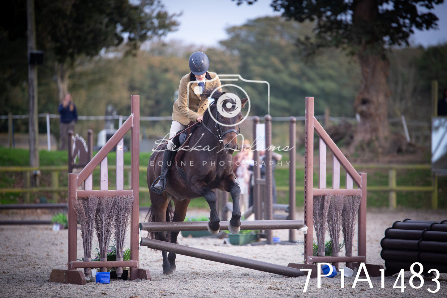 JHOYS 2025 - Showing - 27th September - Working Hunter