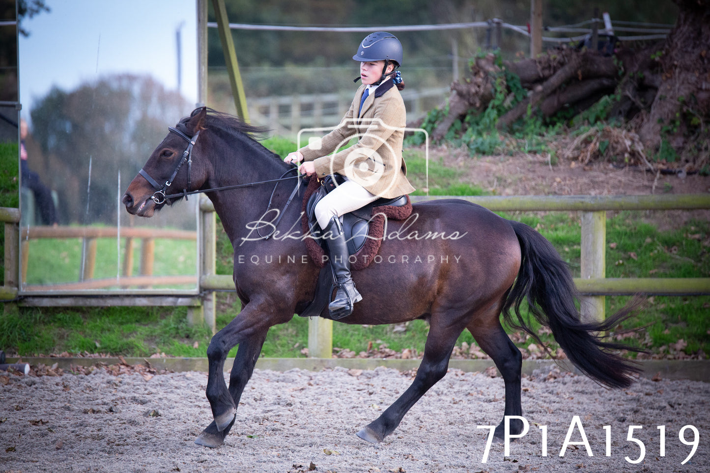 JHOYS 2025 - Showing - 27th September - Working Hunter