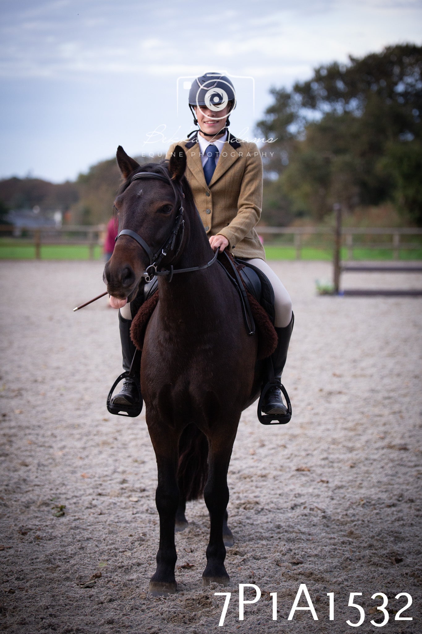 JHOYS 2025 - Showing - 27th September - Working Hunter