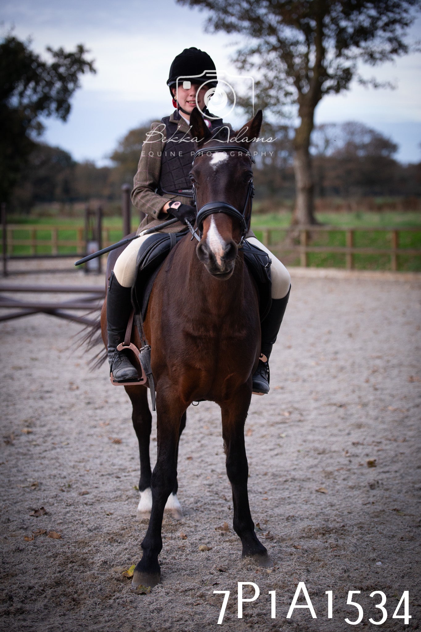 JHOYS 2025 - Showing - 27th September - Working Hunter