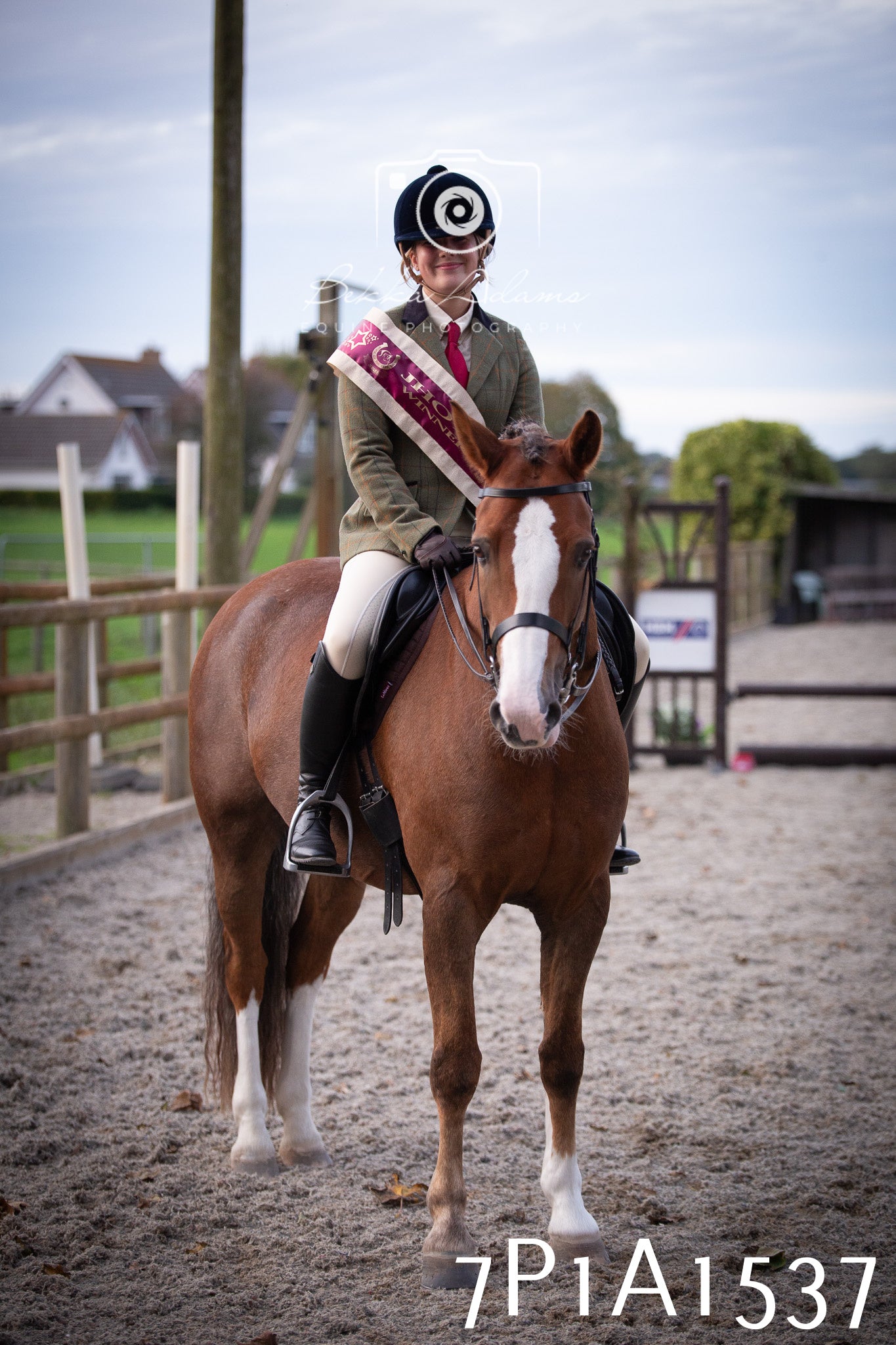 JHOYS 2025 - Showing - 27th September - Working Hunter