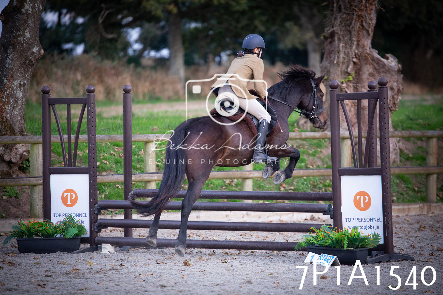 JHOYS 2025 - Showing - 27th September - Working Hunter