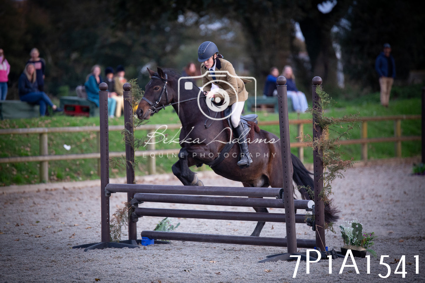 JHOYS 2025 - Showing - 27th September - Working Hunter