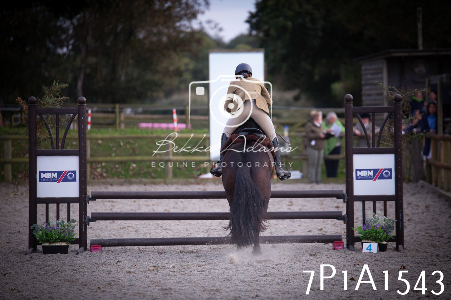 JHOYS 2025 - Showing - 27th September - Working Hunter
