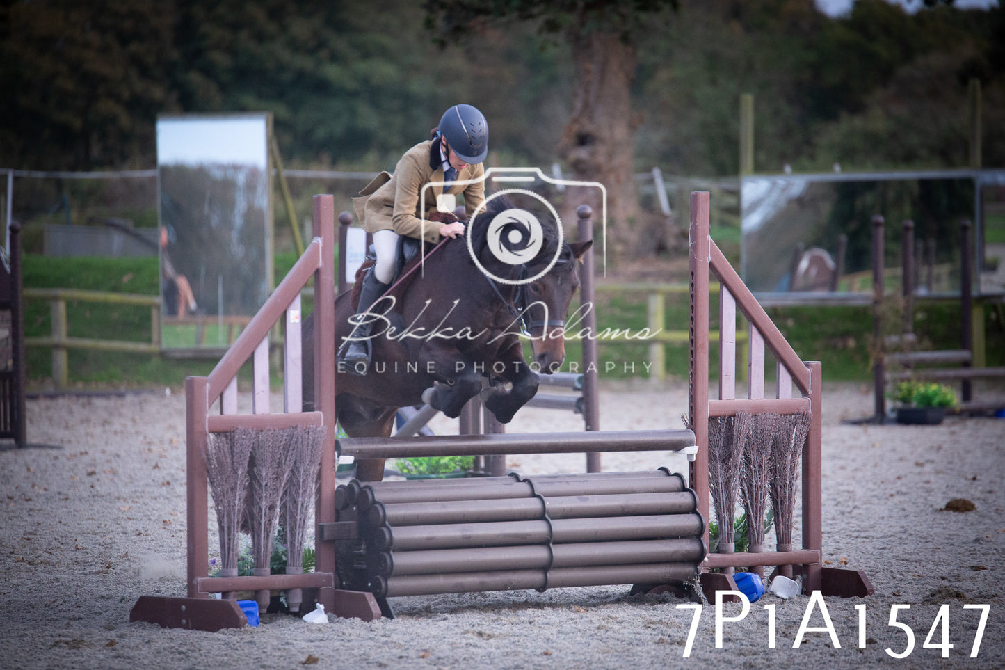 JHOYS 2025 - Showing - 27th September - Working Hunter