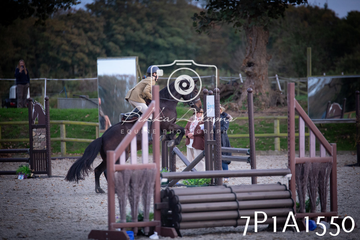 JHOYS 2025 - Showing - 27th September - Working Hunter