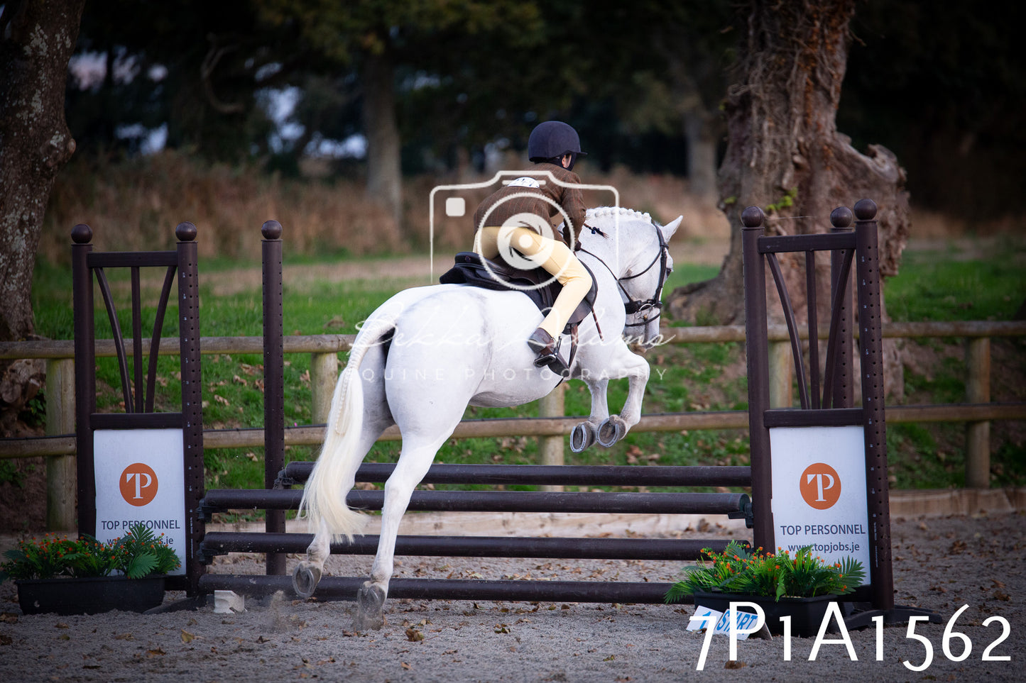 JHOYS 2025 - Showing - 27th September - Working Hunter