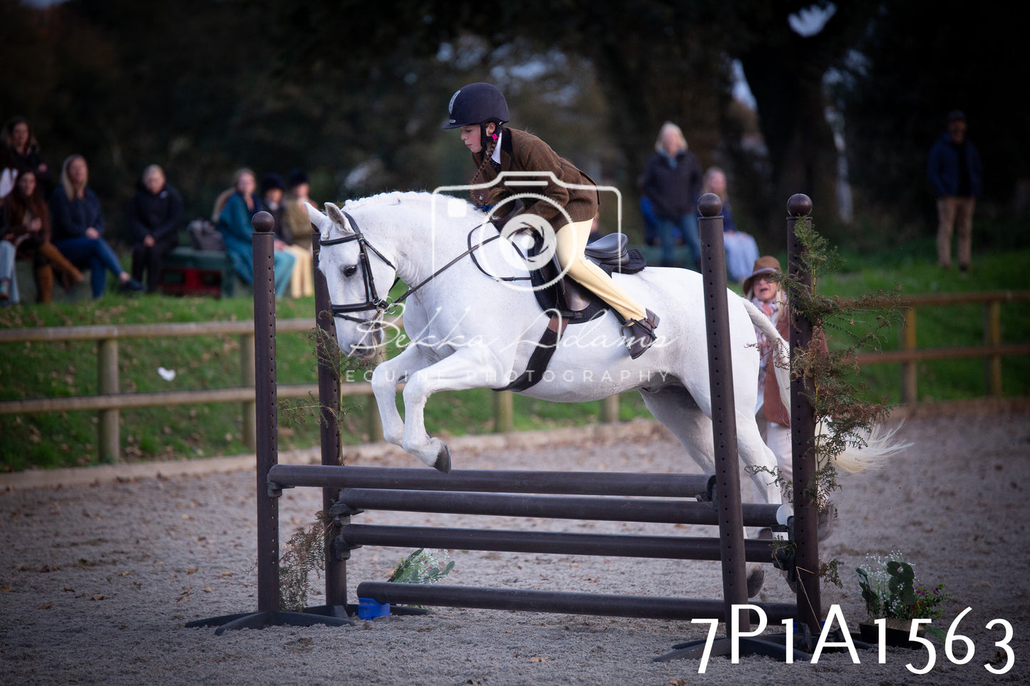 JHOYS 2025 - Showing - 27th September - Working Hunter