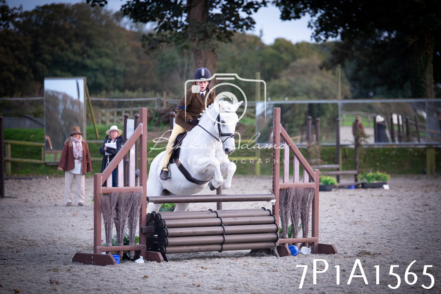 JHOYS 2025 - Showing - 27th September - Working Hunter