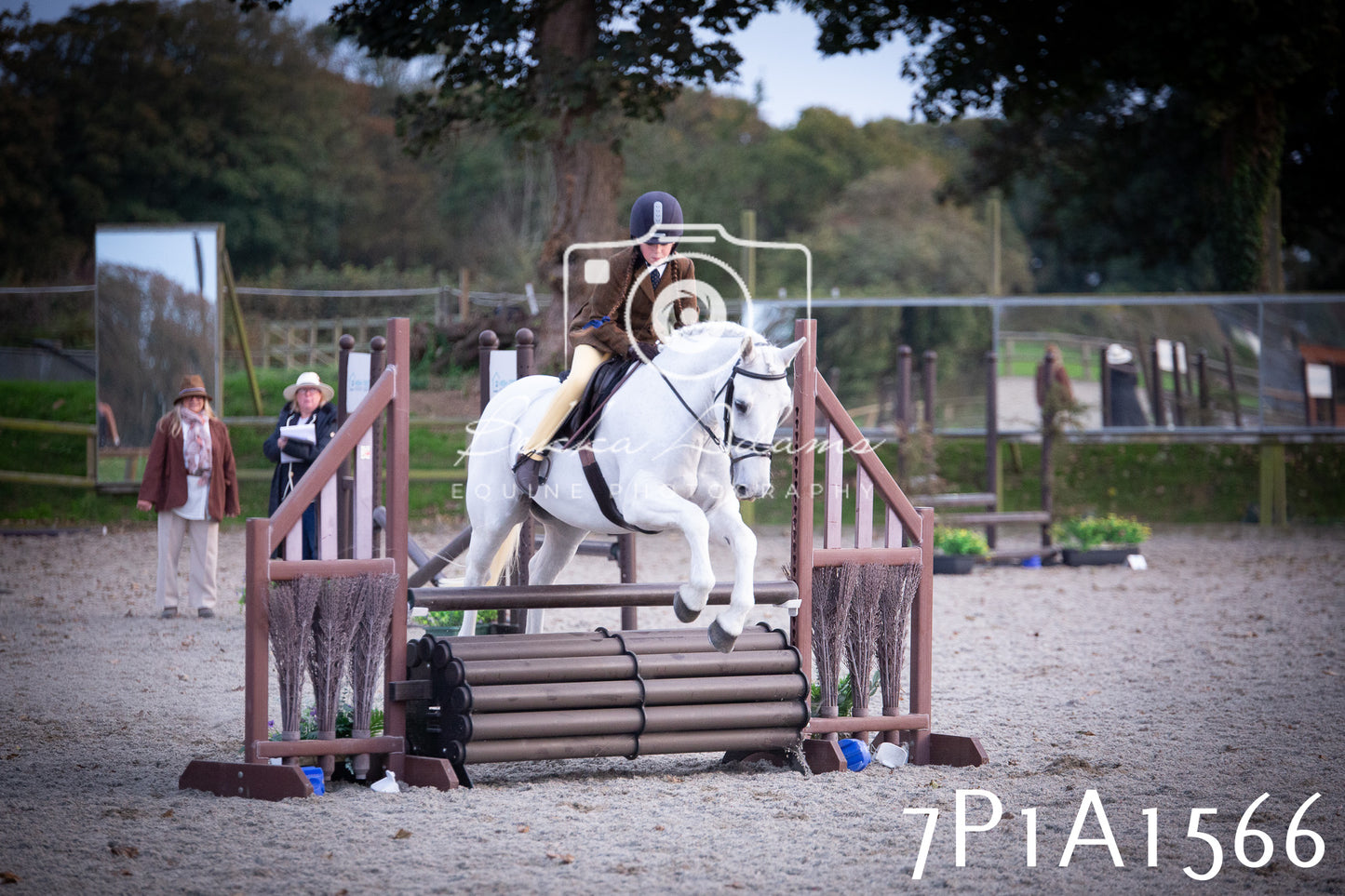 JHOYS 2025 - Showing - 27th September - Working Hunter