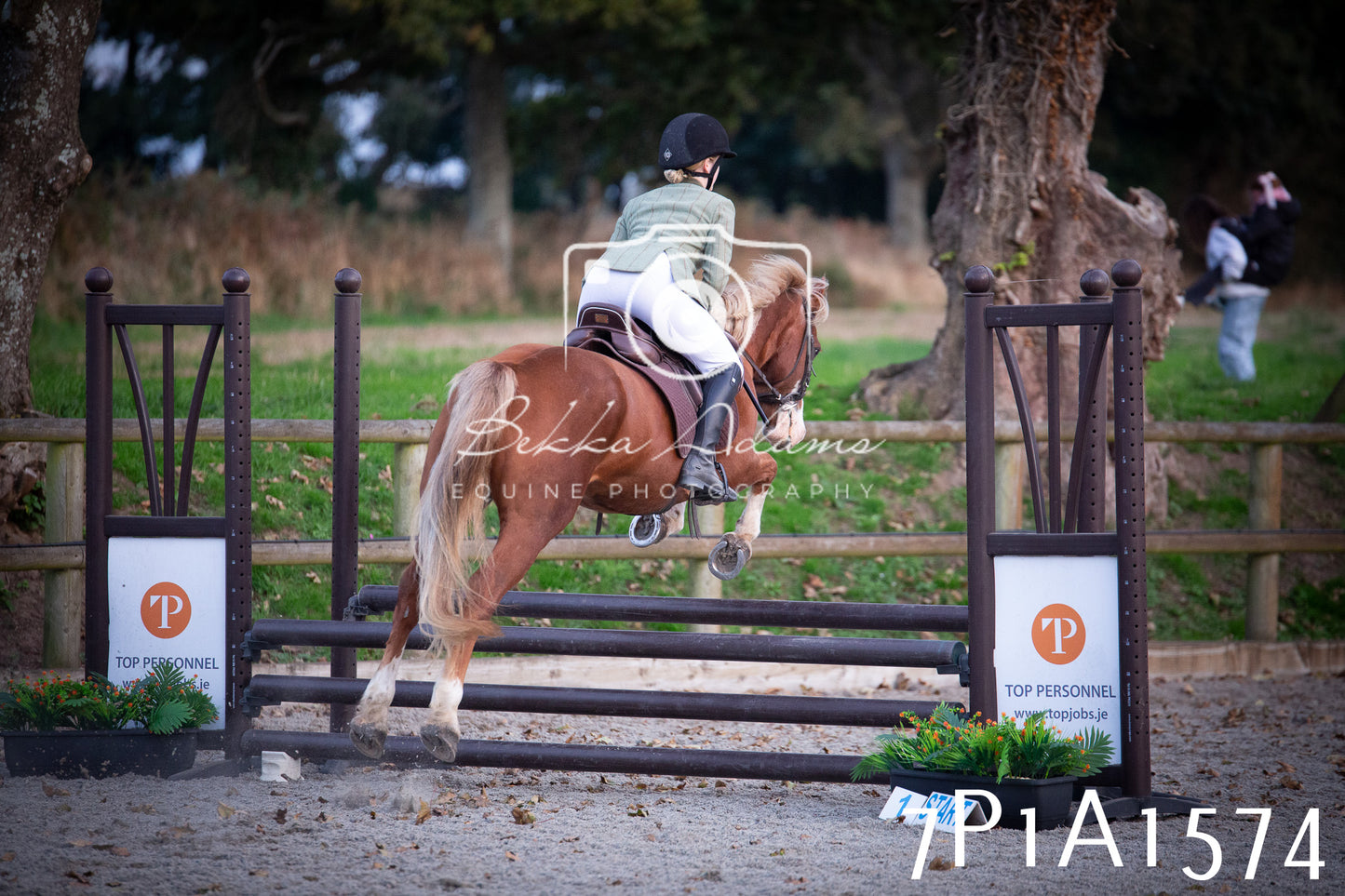 JHOYS 2025 - Showing - 27th September - Working Hunter