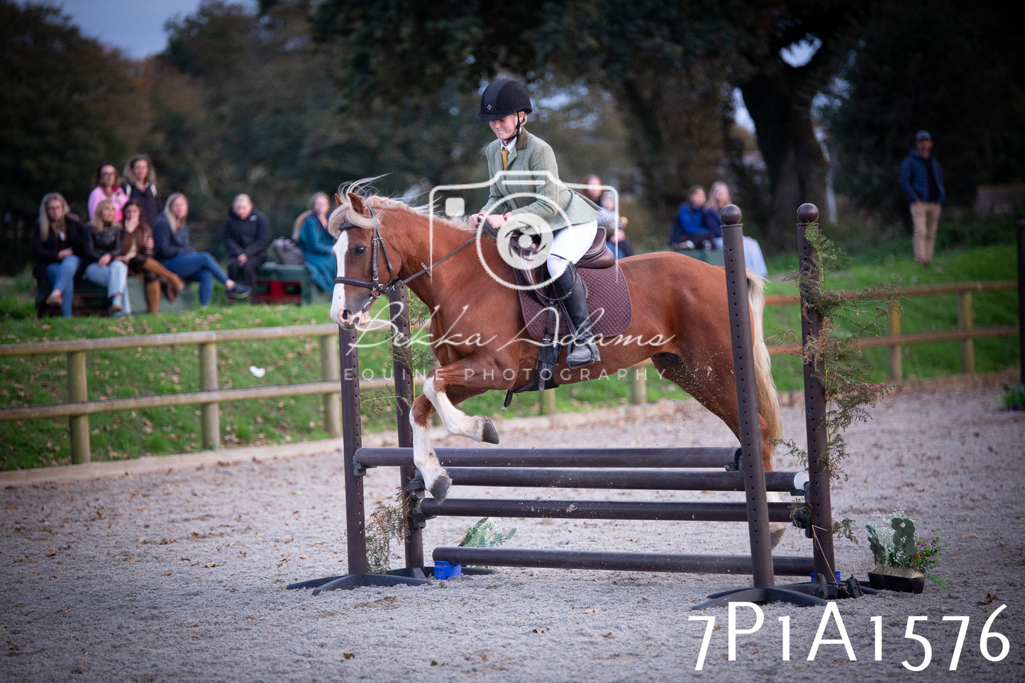 JHOYS 2025 - Showing - 27th September - Working Hunter