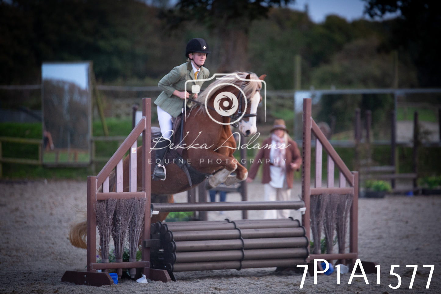 JHOYS 2025 - Showing - 27th September - Working Hunter