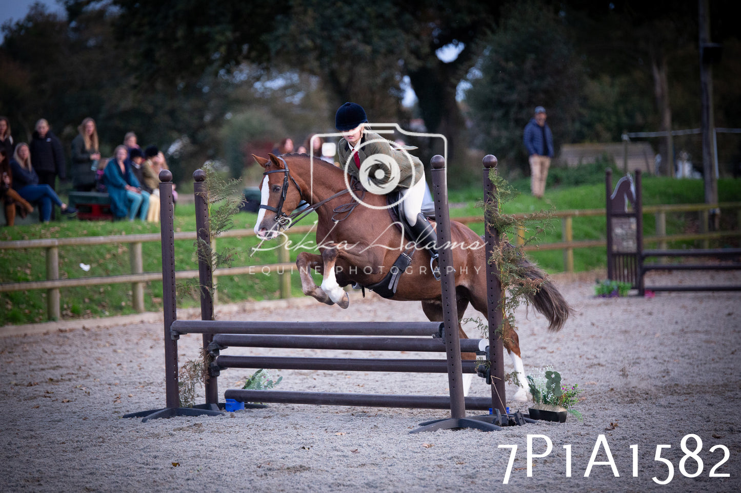 JHOYS 2025 - Showing - 27th September - Working Hunter