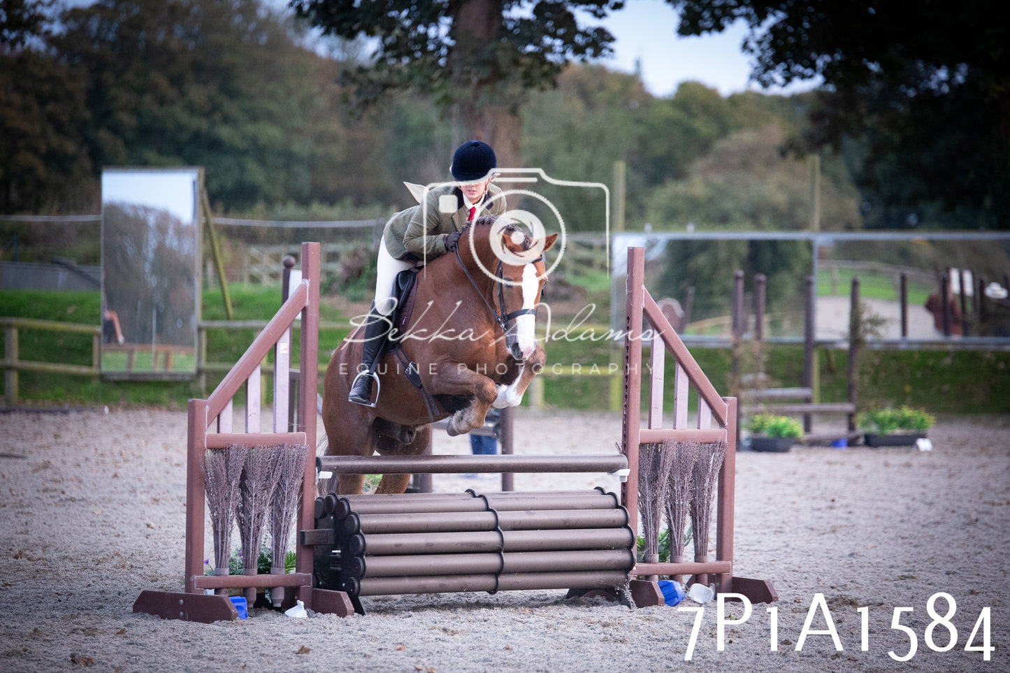 JHOYS 2025 - Showing - 27th September - Working Hunter