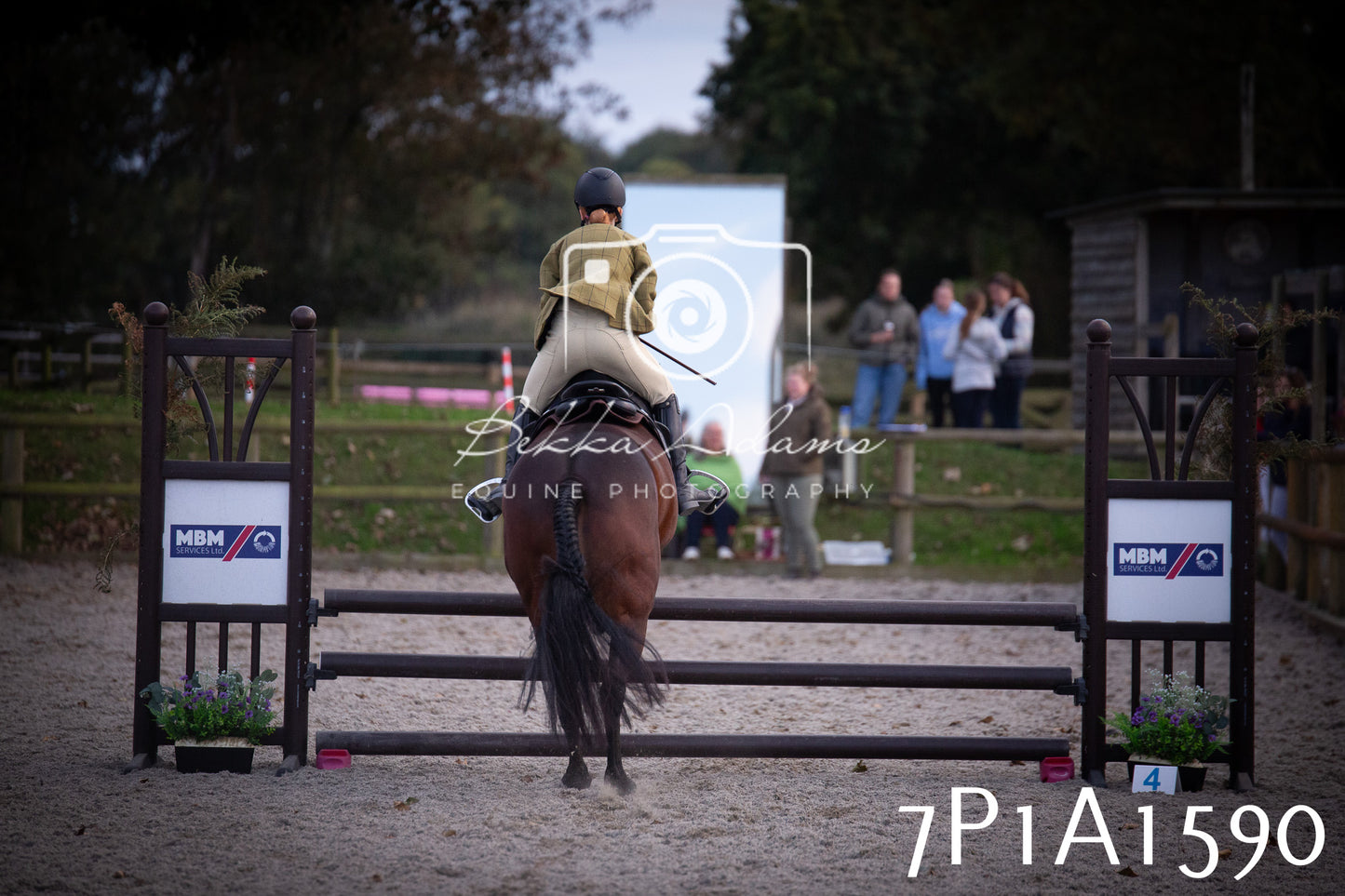 JHOYS 2025 - Showing - 27th September - Working Hunter
