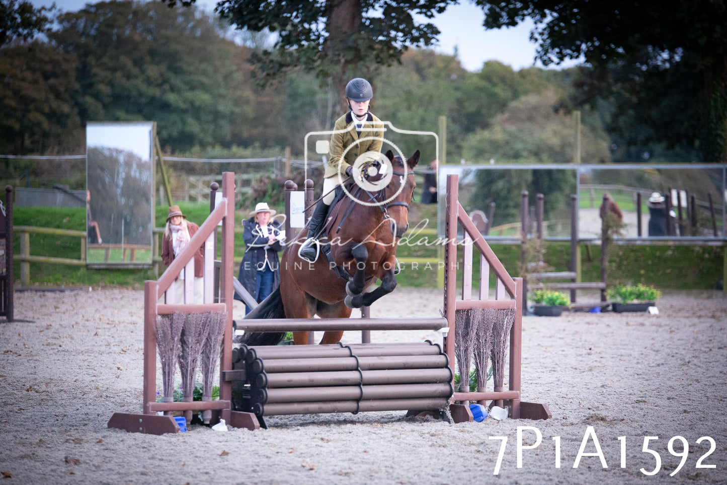 JHOYS 2025 - Showing - 27th September - Working Hunter