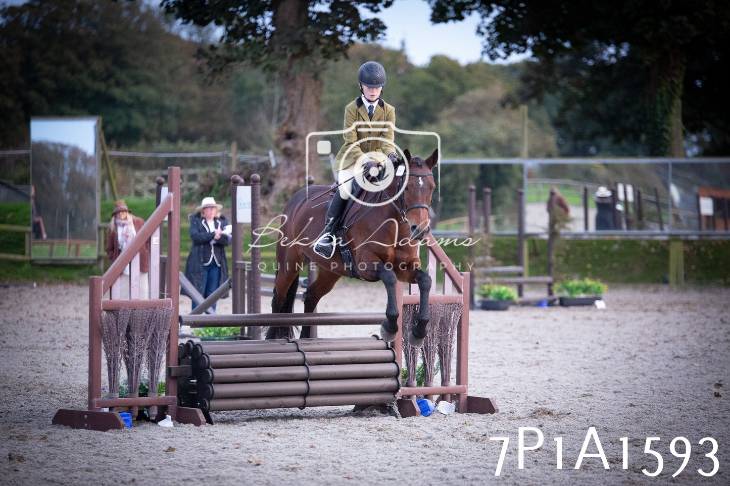 JHOYS 2025 - Showing - 27th September - Working Hunter