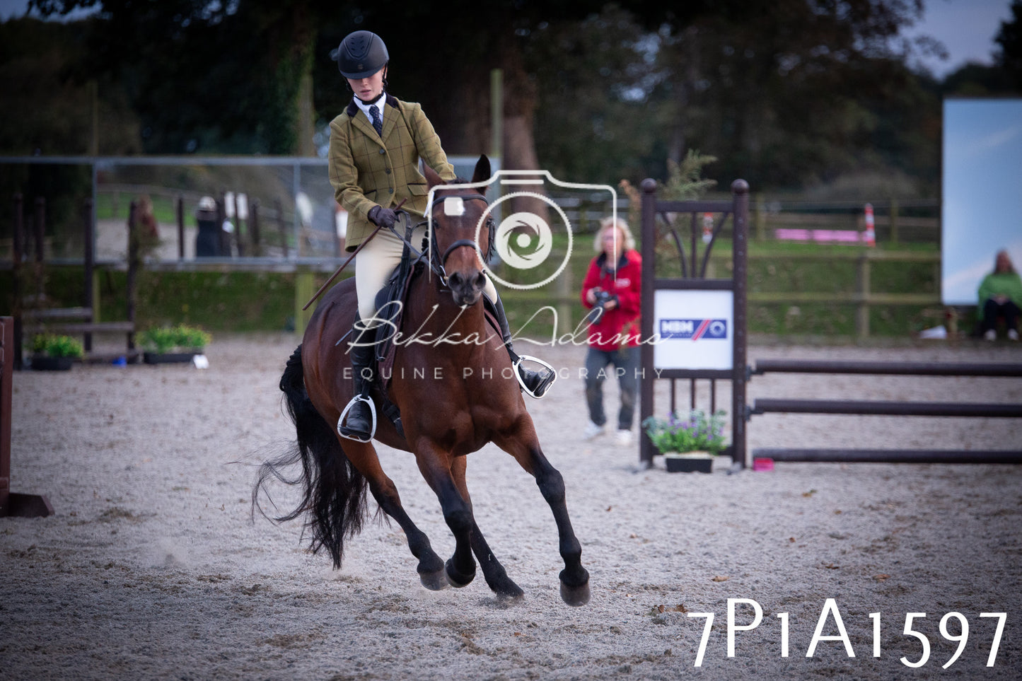 JHOYS 2025 - Showing - 27th September - Working Hunter