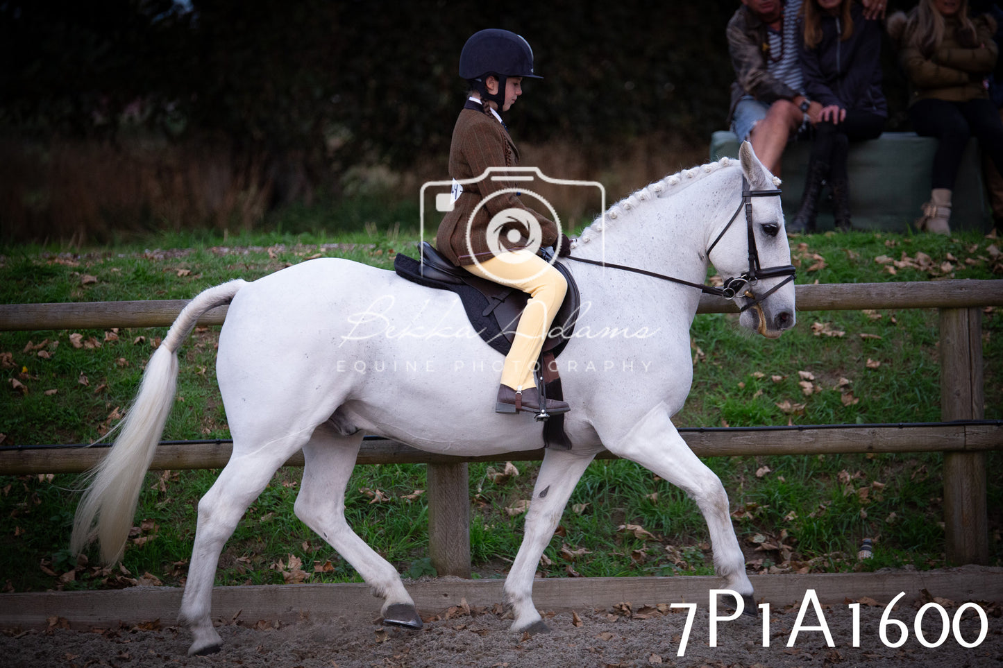 JHOYS 2025 - Showing - 27th September - Working Hunter