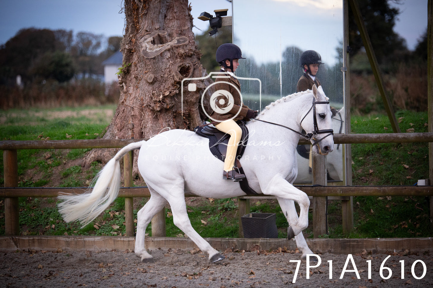 JHOYS 2025 - Showing - 27th September - Working Hunter