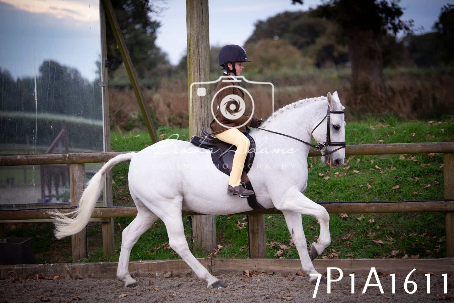 JHOYS 2025 - Showing - 27th September - Working Hunter