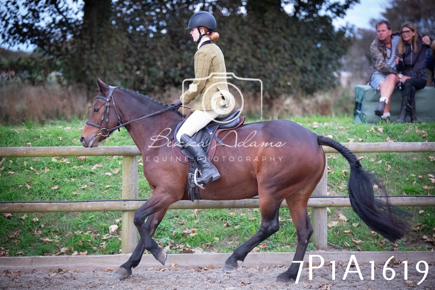 JHOYS 2025 - Showing - 27th September - Working Hunter