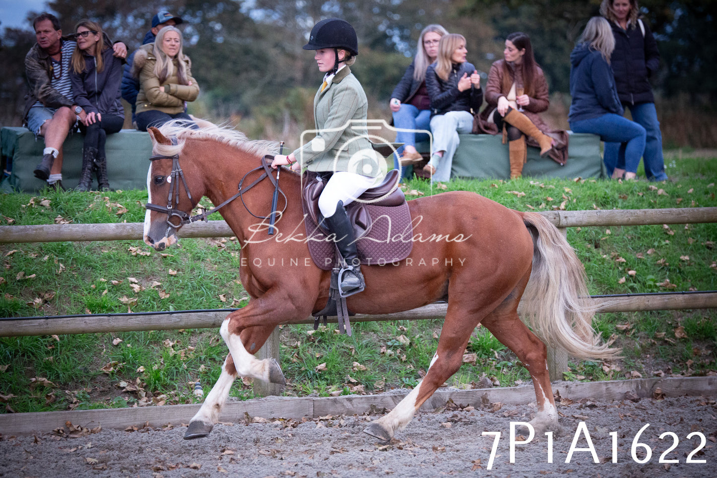 JHOYS 2025 - Showing - 27th September - Working Hunter