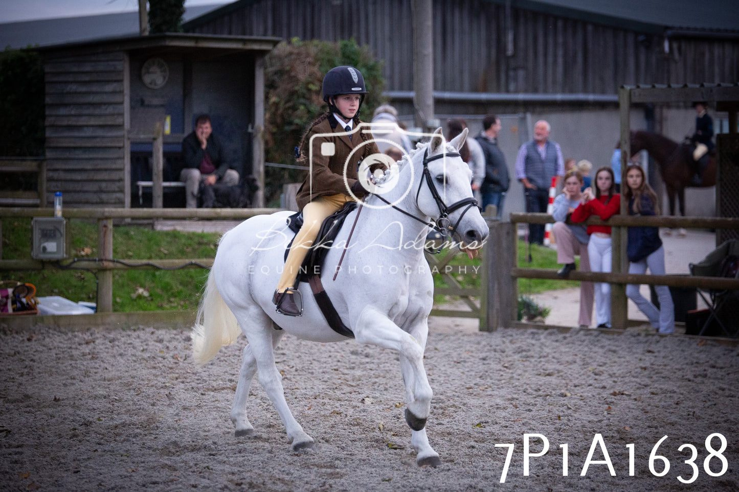 JHOYS 2025 - Showing - 27th September - Working Hunter