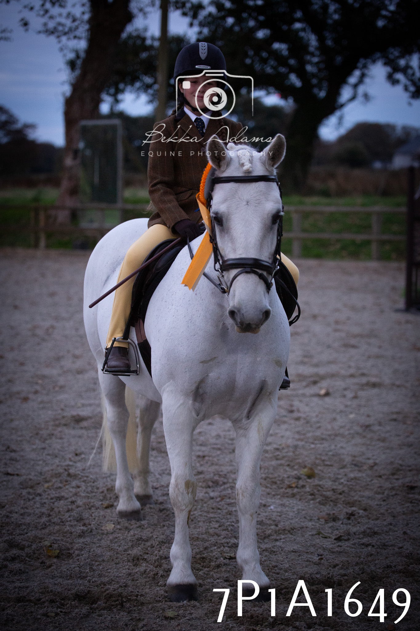 JHOYS 2025 - Showing - 27th September - Working Hunter