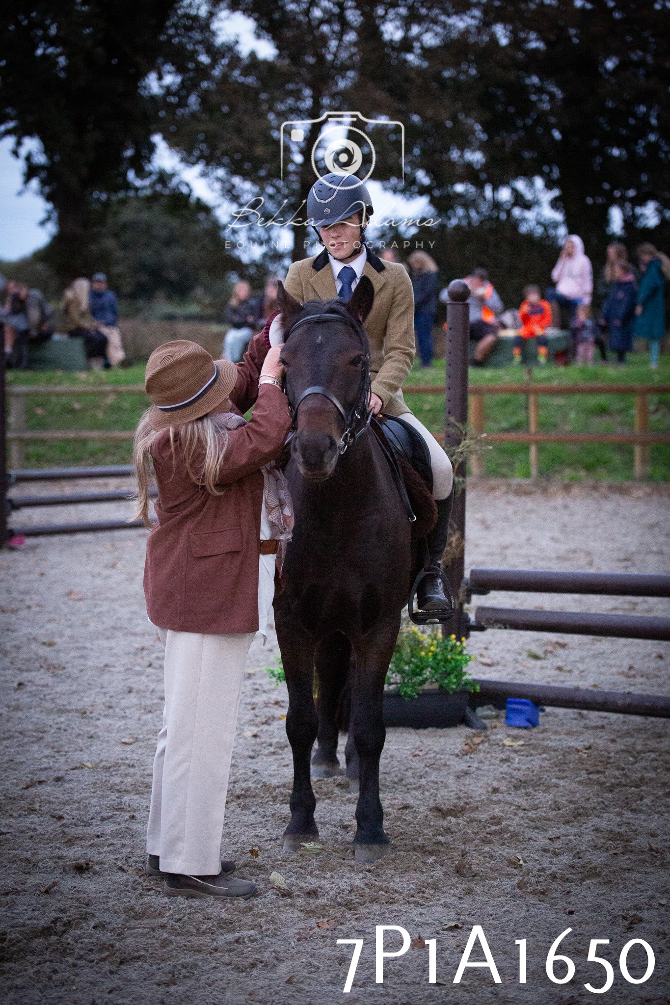 JHOYS 2025 - Showing - 27th September - Working Hunter