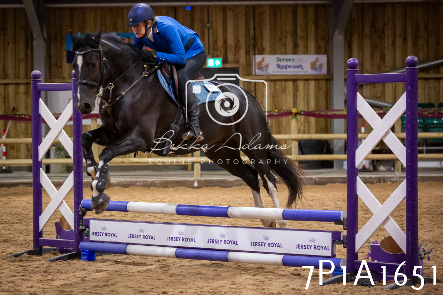 JHOYS 2025 - Show Jumping - 19th September pt1