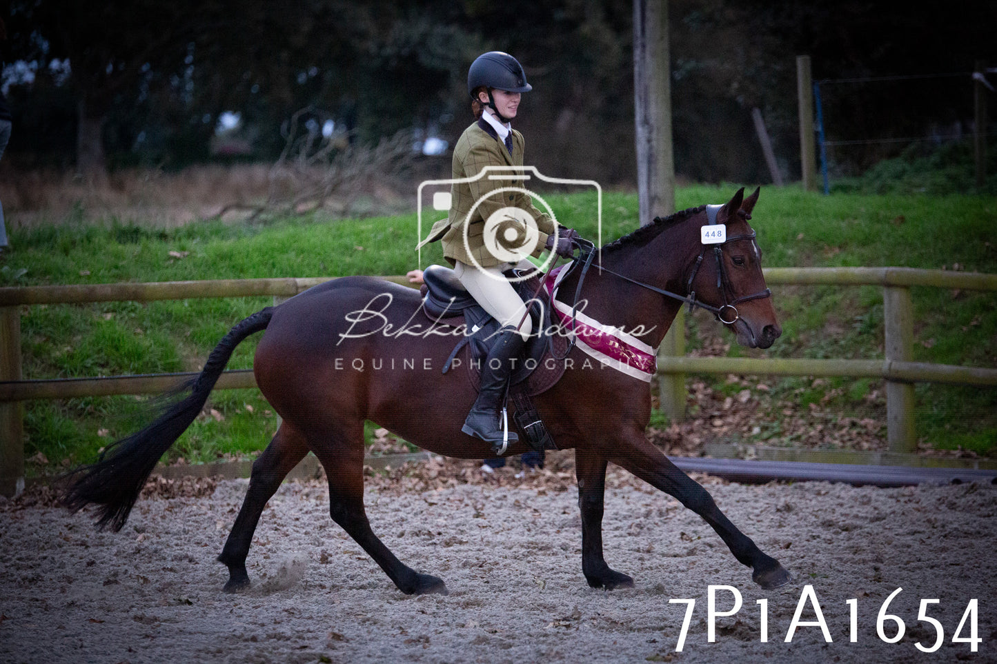 JHOYS 2025 - Showing - 27th September - Working Hunter