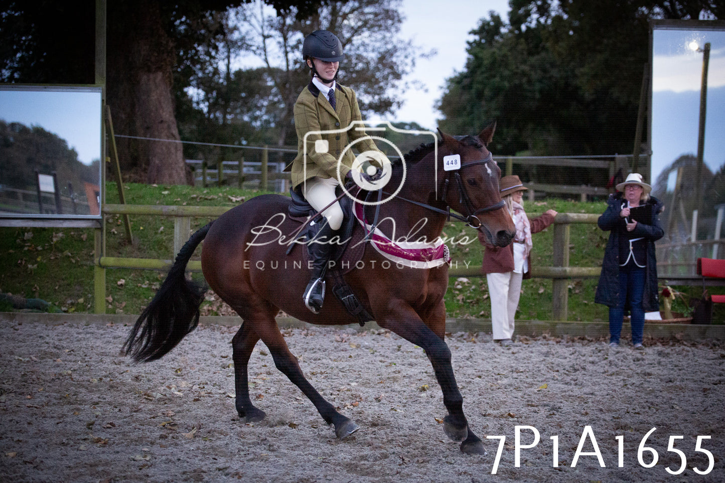JHOYS 2025 - Showing - 27th September - Working Hunter